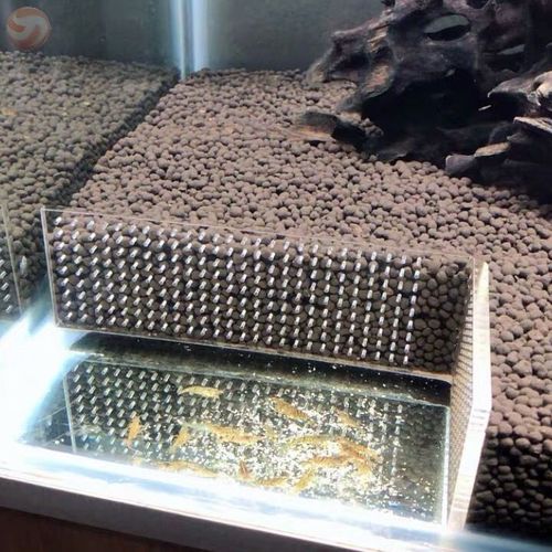 挡沙板隔沙板挡泥板砂档板隔沙板挡沙隔拦鱼缸底滤亚克力水族箱