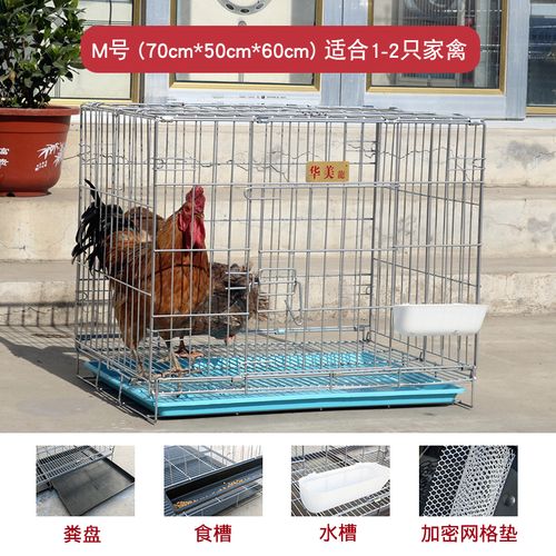 家用塑料养鸽鸡大号m笼子 成鸭鹅蛋子养殖场运输笼周转鸡筐小鸡笼