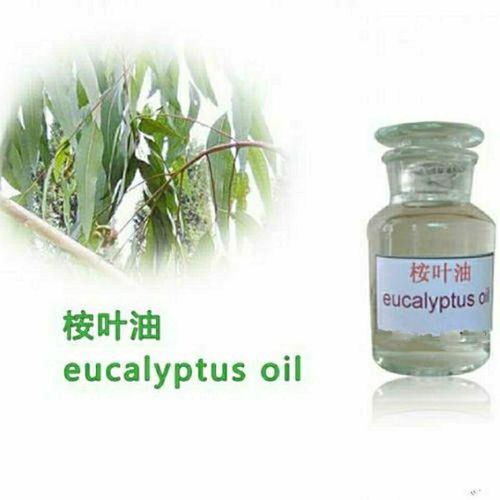 桉叶油桉树油 桉叶精油驱蚊驱虫驱赶跳蚤改善异味净化空气包邮