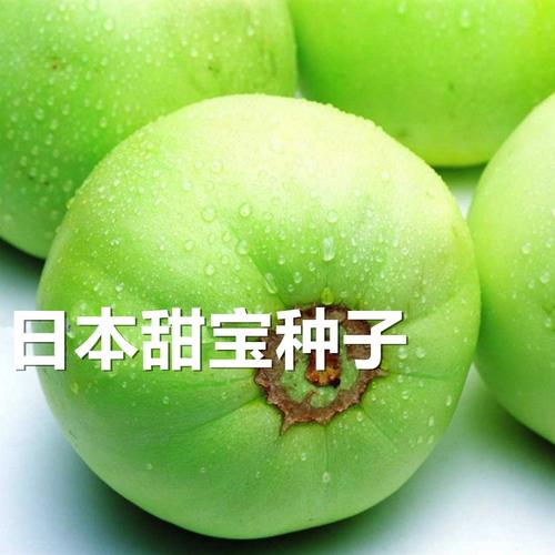 日本甜宝甜瓜种子四季播瓜果蔬菜孑甜宝王香瓜含糖量