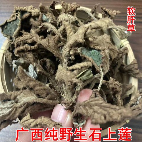 广西野生石上莲中药材干品煮水软肝草泡茶纯野生正品泡茶