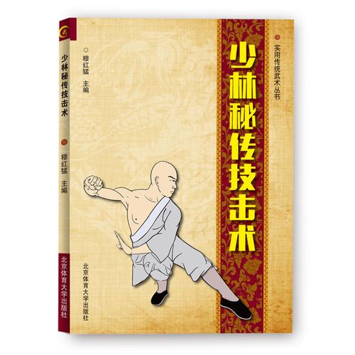 少林武术书籍 少林秘传技击术 易学入门近战绝技中国功夫少林武学专项