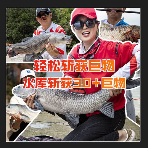 佳钓尼伏魔霸道大物线组套装全套成品青鲟鱼巨物超强拉力钓鱼主线