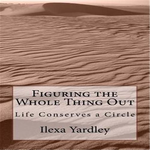 【预售】figuring the whole thing out: life conserves a circle
