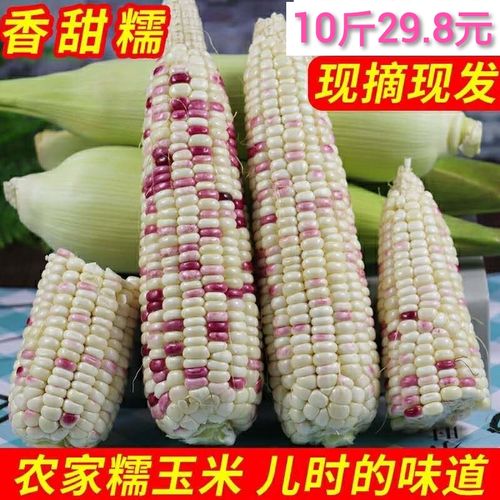 广西新鲜现摘现发玉米棒苞米白甜糯玉米花糯玉米整箱10斤非8包邮