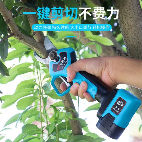 嘉航电动修枝剪家用果树强力电剪子充电式锂电园艺飞斯博电动剪刀