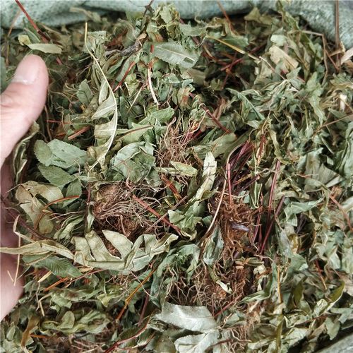 中药中药材500克半边旗半边蕨单片锯半边牙半边梳半边风药