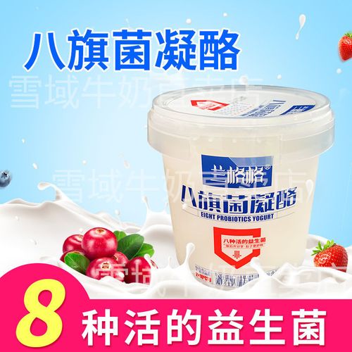 兰格格酸奶八旗菌凝酪蒙古益生菌低脂无添加大桶酸奶