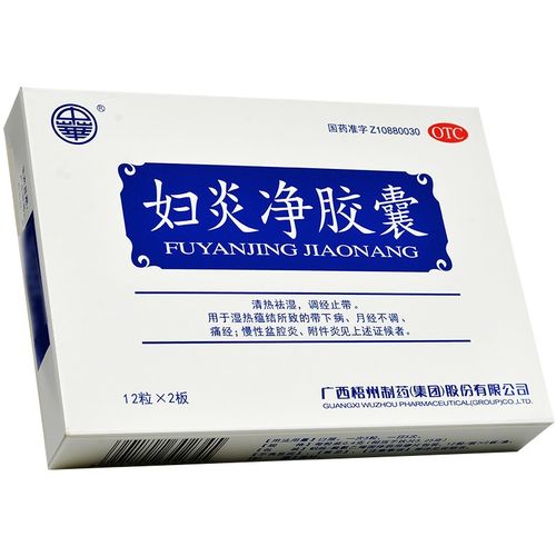中华 妇炎净胶囊0.4g24粒/盒