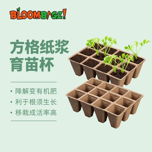 纸浆育苗盆育种花盆营养盆培养盆营养钵定植盆营养杯育苗杯12孔