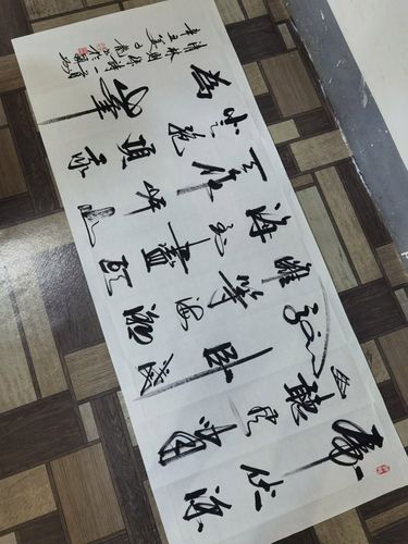 姜子龙书法手写真迹行书虎伏深山听风啸客厅书房办公室