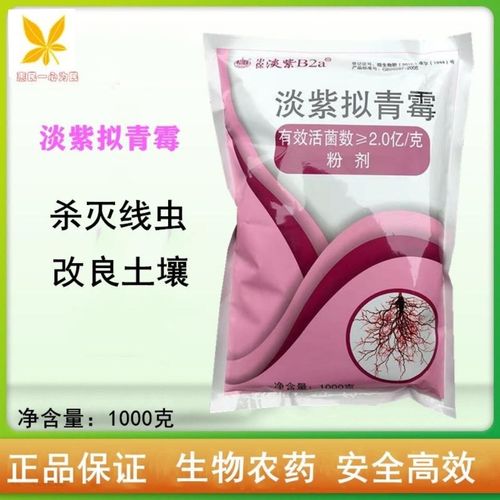 中保 淡紫拟青霉b2a 根结线虫病根瘤病 杀线虫剂 生物农药1000克