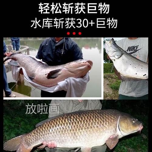 进口柔软大物主线子尼线超强拉0922超力正品龙青线鱼线鱼青鲟鱼巨