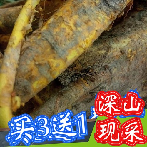 穿破石天然新鲜柘根川破石地棉根九层皮金腰带柘刺根柘树根食用