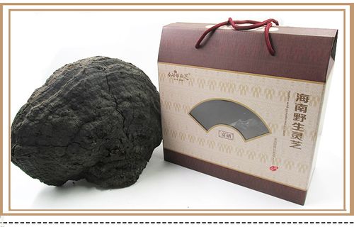 护元堂海南野生松针灵芝  纯野生灵芝原生态五指山吊罗山 25g克