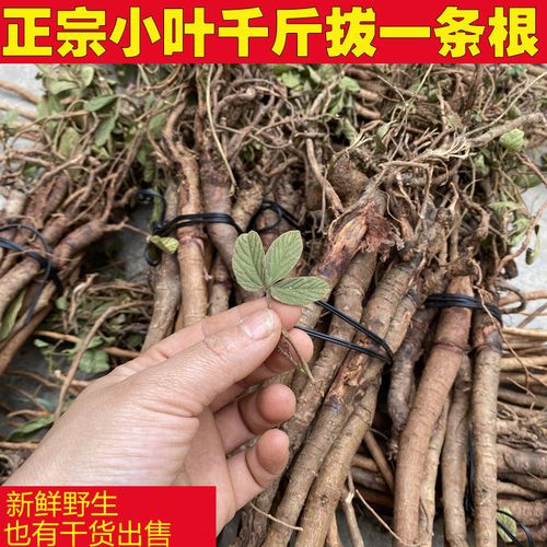 千斤拔野生干货钻地风中药材老鼠尾千金拔片中草药千里马土黄苓
