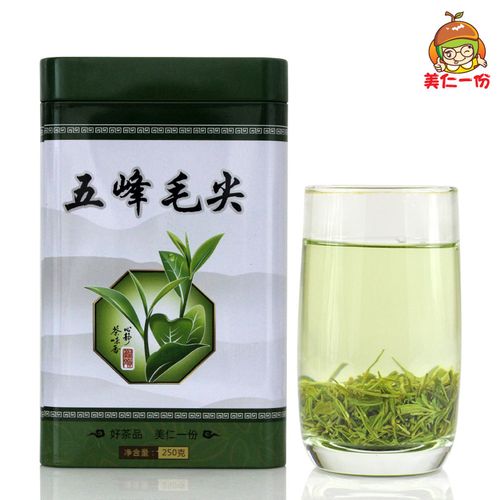 美仁一份新茶叶绿茶宜昌五峰毛尖茶五峰芽毛尖500克送礼长辈实用