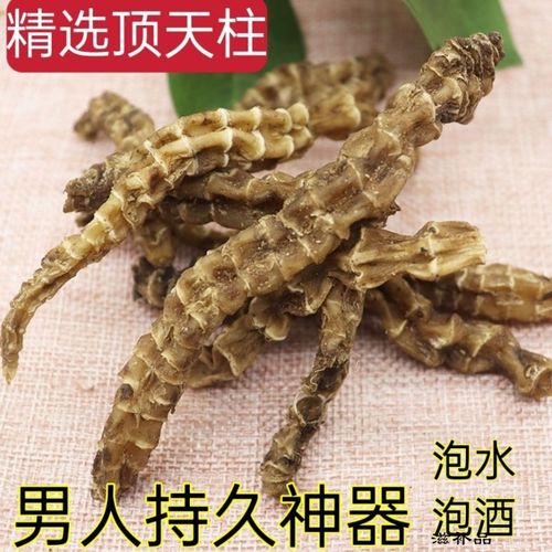 【回春草】顶天柱中药 不老草硬的快云南回春草顶天柱 泡茶泡酒料配起
