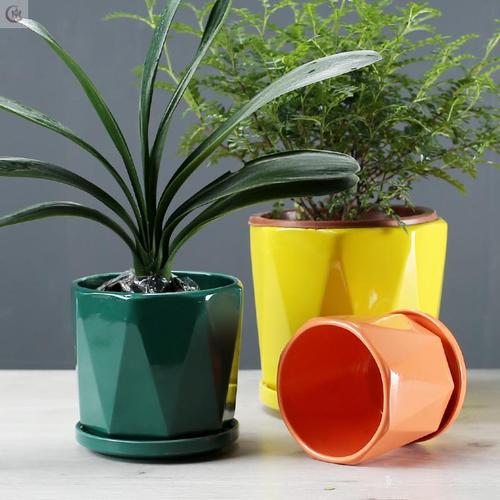 绿萝陶瓷花加号花盘圆室深外家盆用多功能62237601中国风牡大丹圆