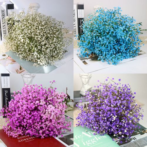 满天星干花花束客厅摆设真花鲜花云南直发批发送人女朋友生日礼物