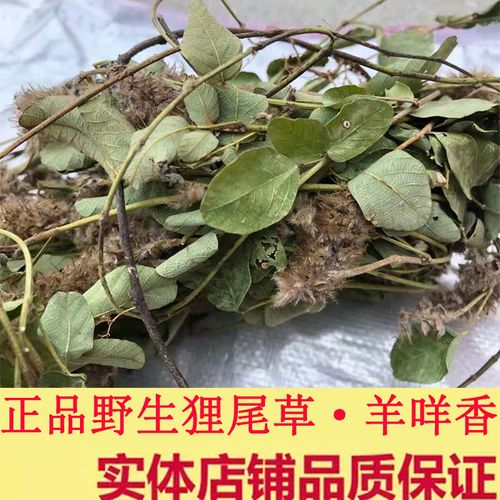 认准正品苗族纯野生狸尾草干货羊咩香中草药煲汤绿色膳食滋补养生