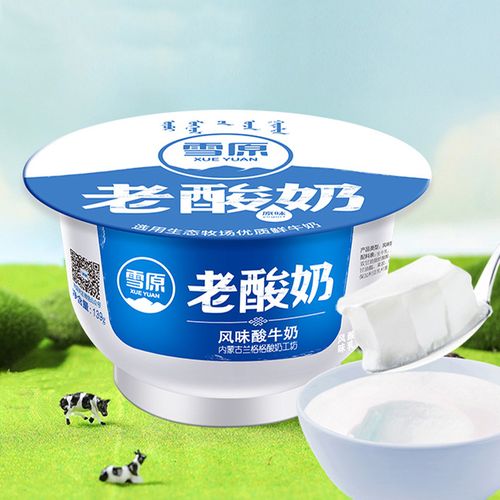 雪原老酸奶139g*12 原味风味酸牛奶早餐低温活菌兰格格内蒙古特产