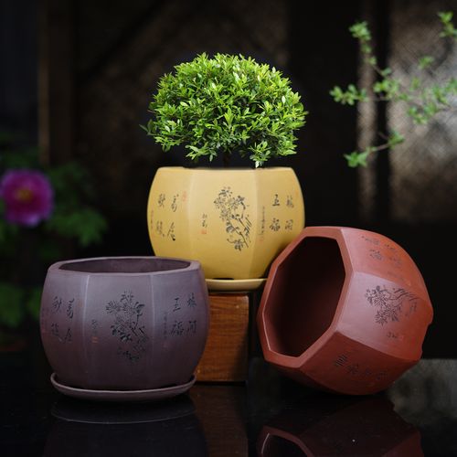 花盆 陶瓷花盆 紫砂花盆花盆陶瓷花盆 紫砂花盆兰花