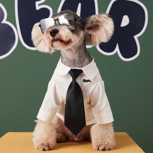 宠物衣服小型犬泰迪雪纳瑞比熊帅气柴犬潮牌衬衫领带狗狗两脚衣服
