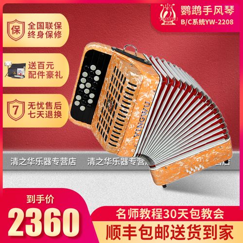 鹦鹉牌8贝司斯巴扬杨手风琴乐器b/c系统初学者儿童练习琴yw-2208