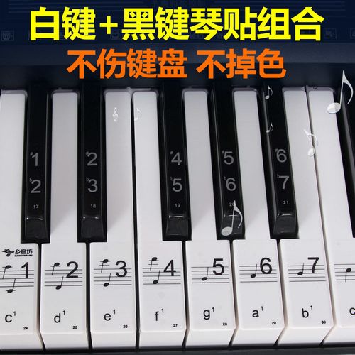 61键54键黑白键组合透明钢琴键盘贴纸电子琴琴贴五线谱简谱键盘贴