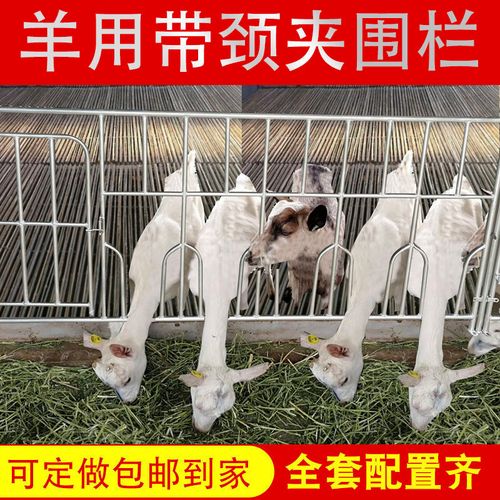 羊用围栏羊圈羊场专用护栏围栏镀锌羊围栏羊隔离栏养羊专用围栏