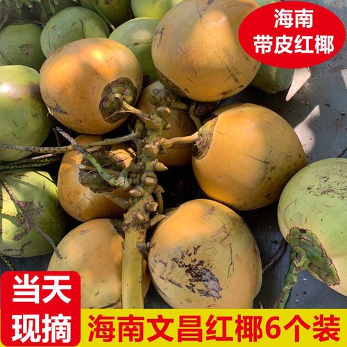 海南正宗文昌红椰子椰青椰子水金椰毛椰椰宝孕妇补羊水纯天然饮品