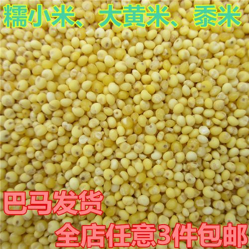 糯小米大黄米黏小米黍米广西特产巴马杂粮500克