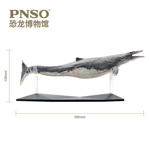 pnso恐龙博物馆沧龙罗恩1:35科学艺术模型