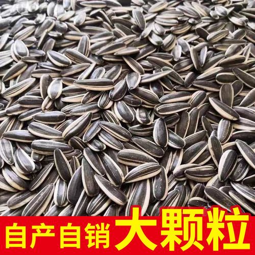 新货生瓜子内蒙古大颗粒葵花籽现炒原味五香焦糖瓜子批发炒货零食 5斤