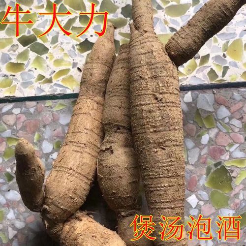 野生鲜货牛大力薯条根金钟根新鲜中药材滋补煲汤料泡酒金钟根500g