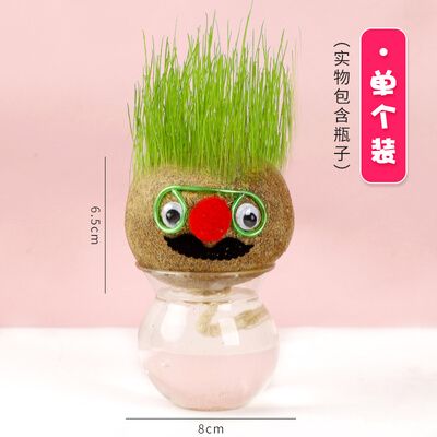 22草头娃娃可爱创意小盆栽浇水长o草娃娃幼儿园办公室绿植桌面小