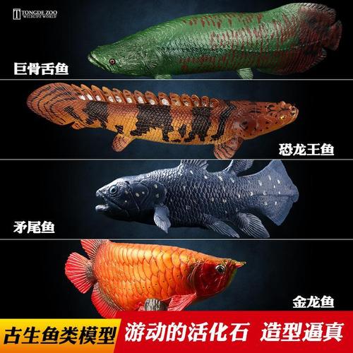 童德古生鱼类模型儿童仿真动物玩具海洋淡水河巨骨舌鱼鳄雀鳝