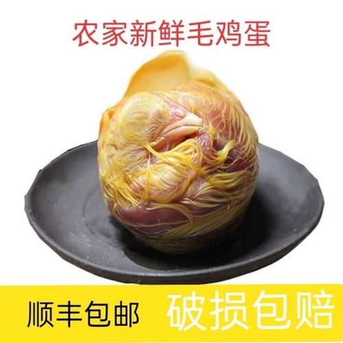 【顺丰】 新鲜毛蛋17-21天生毛鸡蛋批发鸡胚蛋非活珠子凤凰蛋
