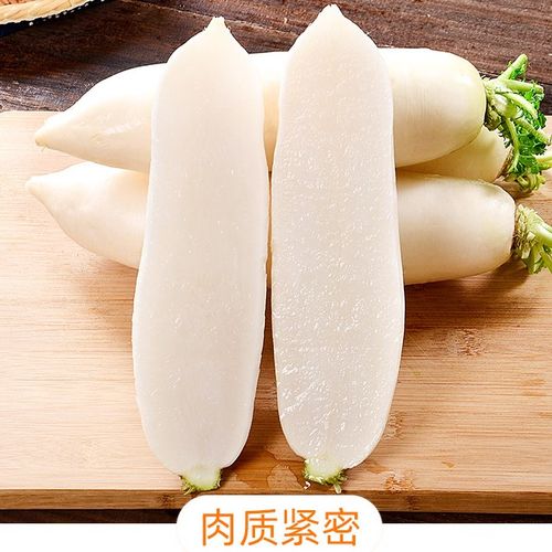 韩国白玉萝卜种子长白萝卜种子高产白富美四季阳台盆栽蔬菜种籽孑