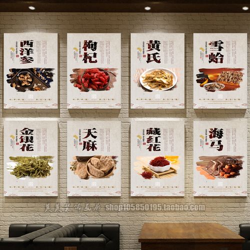 中药材海报中草药中医馆装饰画各类药材说明功效广告珍贵药材海报