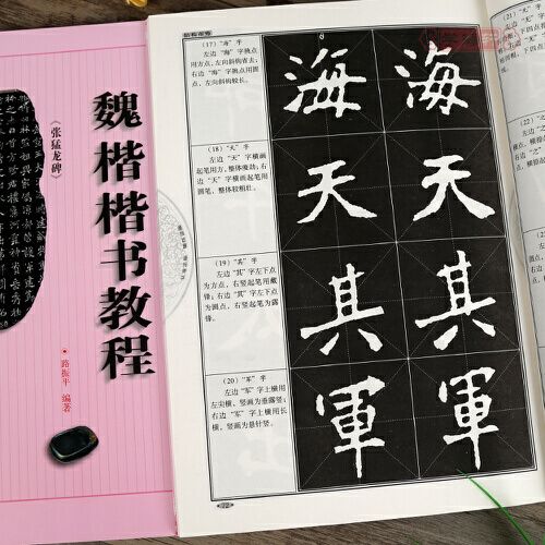 卓阅 魏楷楷书教程 张猛龙碑 中国书法培训教程 路振平著 北魏楷书