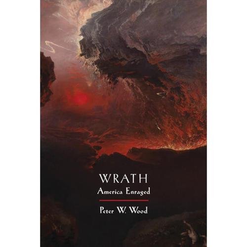 预订 wrath: america enraged [9781641772198]