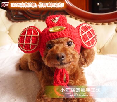 原创小年糕独家宠物泰迪猫猫狗狗纯手工毛线新年招财进宝财神帽子