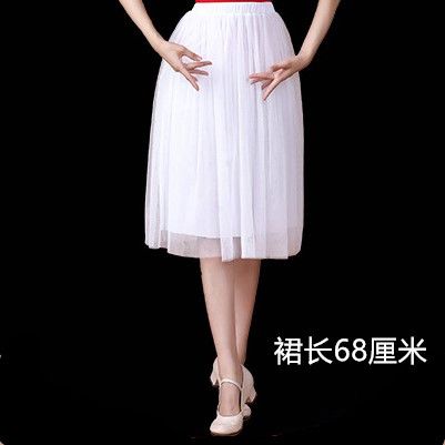 广场舞服装新款跳舞半身裙 女中老年舞蹈大摆网纱中长裙 演出舞裙