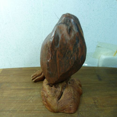 包邮9831号 新疆哈密地表水冲硅化木 木化石 树化石