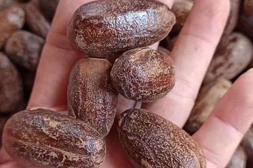 0/斤 长香果 肉豆蔻 香果川芎 香辛料批发 中药材大全