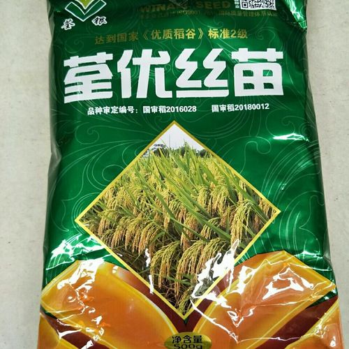 荃优丝苗  达到国家优质稻谷标准2级