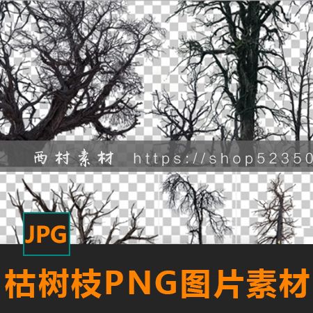 枯树枝免抠png图片素材树叉cg绘画参考ps合成素材matte painting
