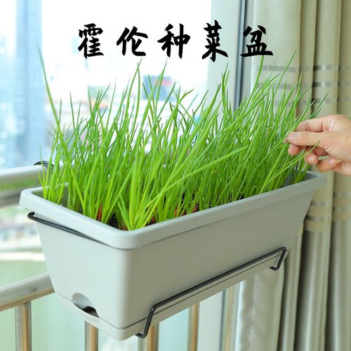 霍伦种菜盆长条花盆阳台家庭种菜神器室内特大蔬菜长方形种植槽盆